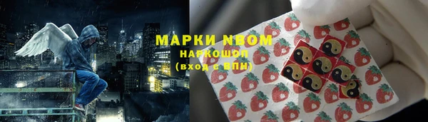 Альфа ПВП Гусиноозёрск