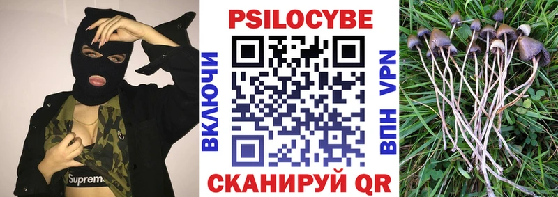 Купить где  Сегежа  Псилоцибиновые грибы мицелий 